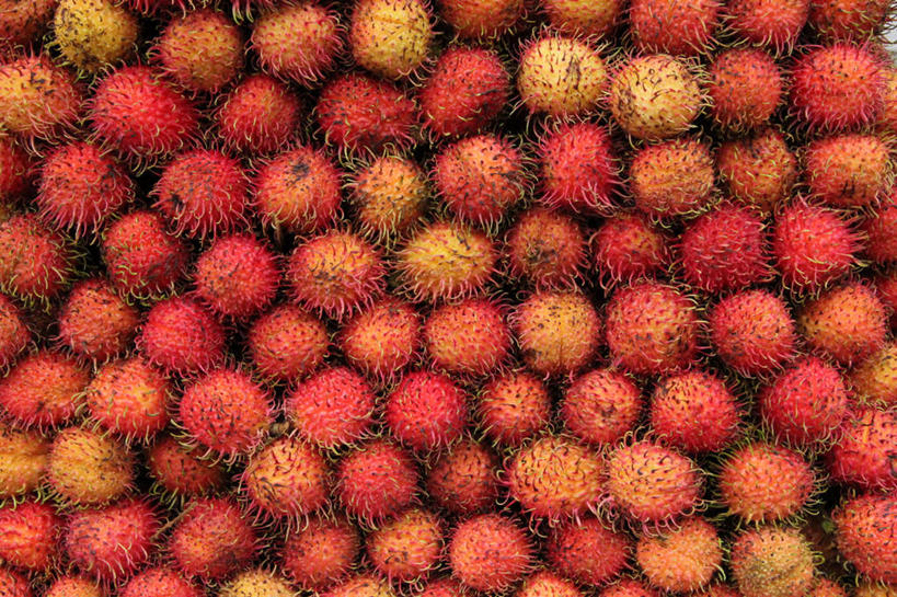 无人,横图,室外,特写,白天,背景,水果,越南,一排,许多,整齐,市场,很多,饮食,排列,零售,摄影,红毛丹,队列,清新,贩卖,胡志明市,彩图,全画面,全框架,全帧,全画幅