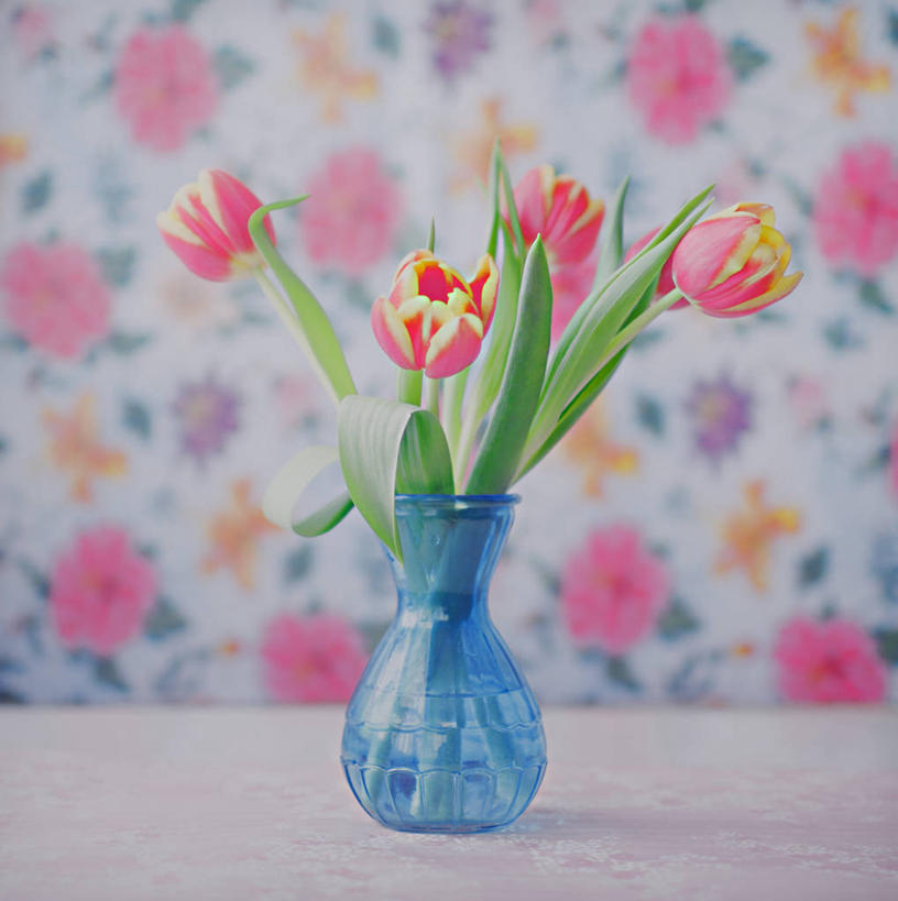 无人,竖图,室内,郁金香,花瓶,西班牙,花纹,首都,花,粉色,黄色,马德里,摄影,脆弱,清新,彩图