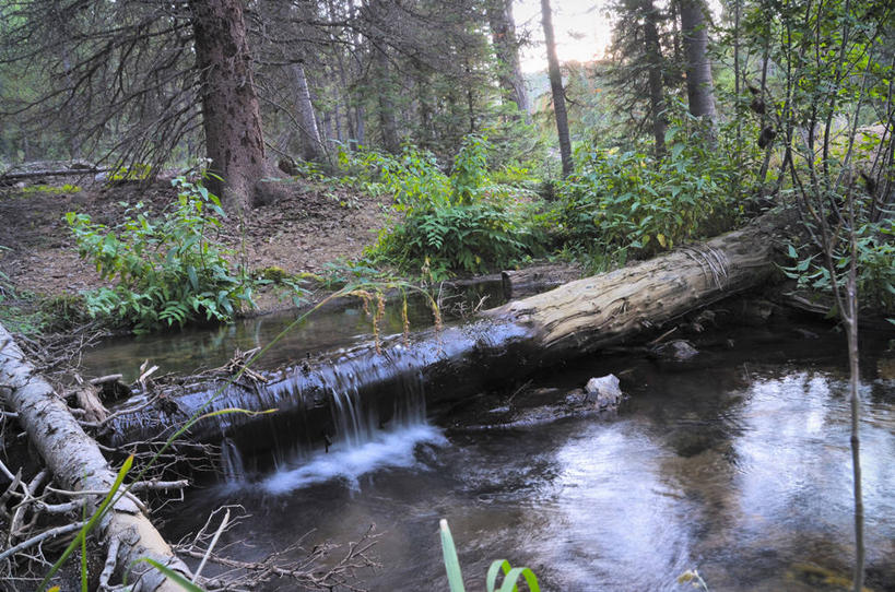 无人,横图,室外,白天,长时间曝光,旅游,度假,河流,美景,森林,美国,反射,景观,流水,娱乐,树,树干,风景,自然,享受,休闲,景色,放松,摄影,宁静,圆木,自然风光,科罗拉多州,彩图,瓦尔登