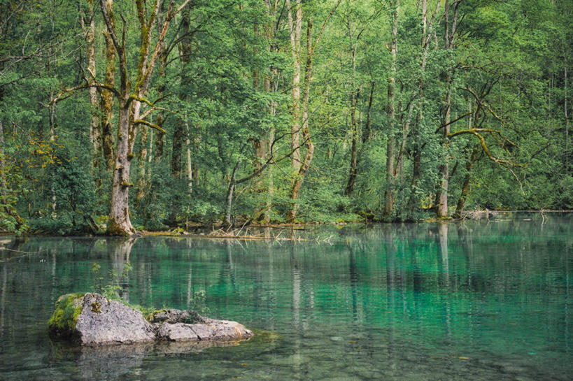 无人,横图,室外,白天,湖,美景,森林,德国,透明,反射,景观,树,风景,自然,景色,摄影,宁静,自然风光,彩图,国王湖