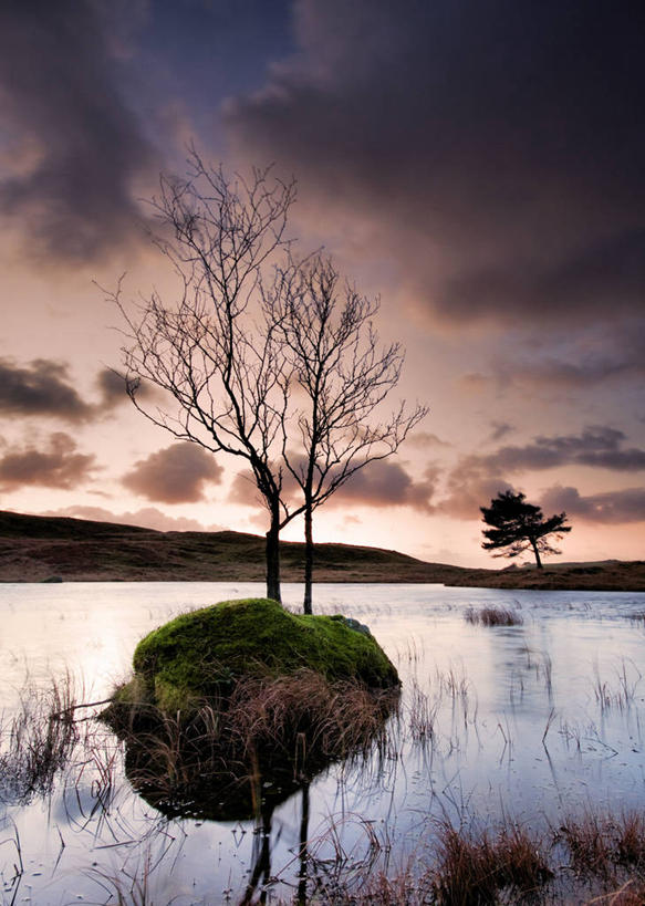 无人,竖图,室外,日出,湖,英国,反射,云,苔藓,树,天空,自然,摄影,宁静,岩石,彩图