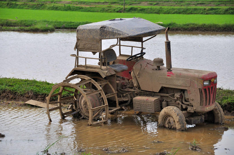 无人,横图,室外,白天,农业,美景,水,印度,反射,景观,田地,自然,景色,摄影,肮脏,生长,自然风光,拖拉机,邋遢,印度文化,喀拉拉邦,龌龊,污秽,彩图