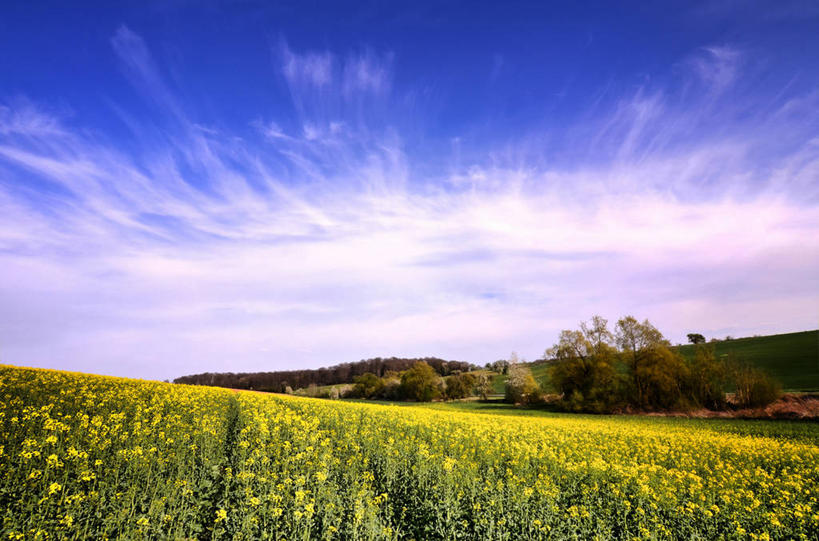 无人,横图,室外,白天,美景,德国,欧洲,地形,景观,田地,云,风景,天空,自然,景色,摄影,生长,宁静,西欧,自然风光,德意志联邦共和国,巴登.符腾堡,巴登.符腾堡州,巴符州,彩图