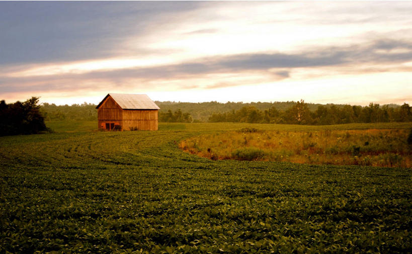 无人,横图,室外,农业,农作物,美景,建筑,大豆,美国,房屋,景观,田地,云,天空,自然,黄昏,景色,摄影,生长,宁静,自然风光,肯塔基州,农舍,彩图
