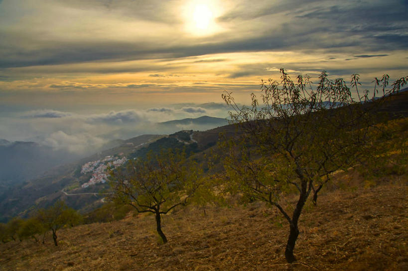 无人,横图,室外,白天,美景,山,太阳,植物,雾,西班牙,地形,景观,云,果树,天气,树,树木,绿色,天空,自然,景色,摄影,生长,成长,宁静,自然风光,安达路西亚,杏树,彩图