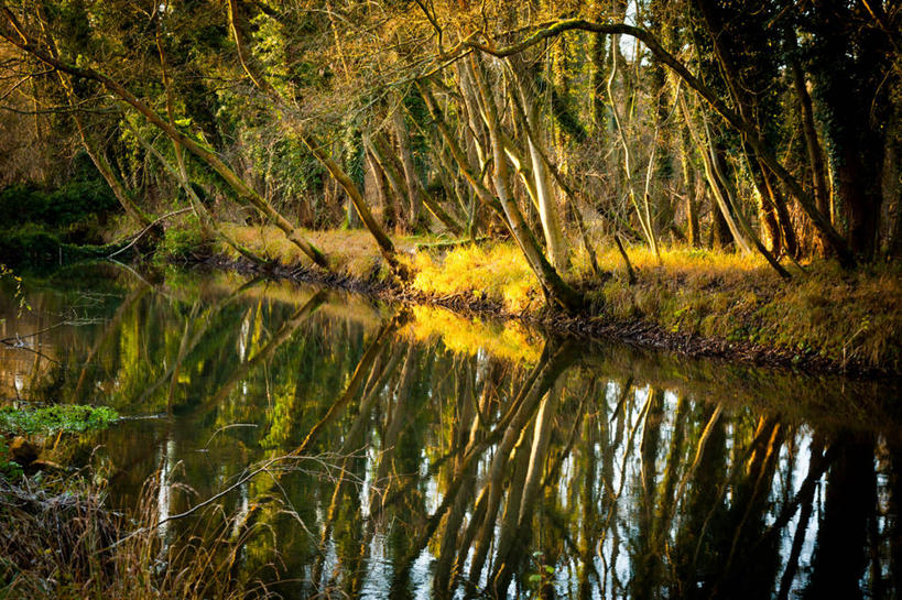 无人,横图,室外,白天,河流,日光,英国,反射,草,树,自然,摄影,宁静,波克夏,彩图