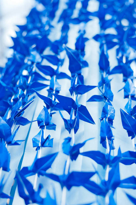 竖图,仙台,日本,摄影