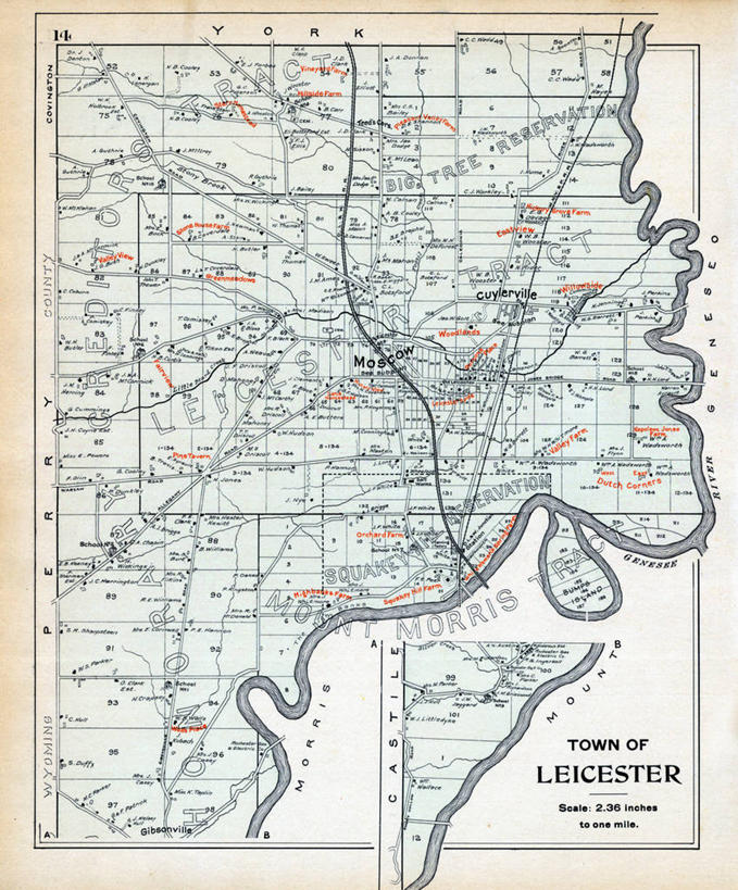 无人,竖图,地图,城镇,历史,古董,纽约州,莱切斯特,彩图