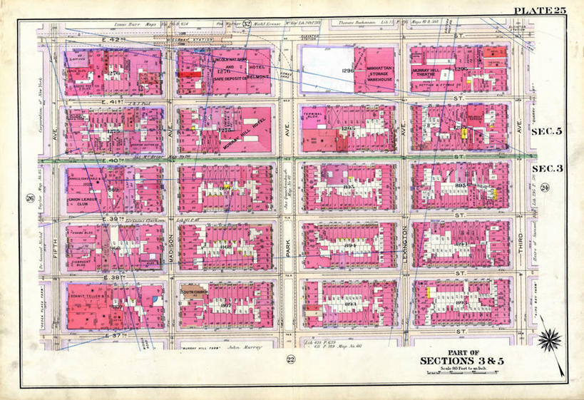 无人,横图,地图,纽约,城镇,历史,古董,第五大道,彩图,地图学