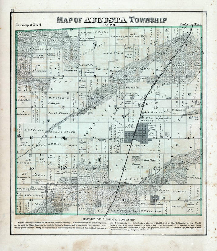 无人,竖图,地图,历史,花,古董,伊利诺斯州,彩图,地图学