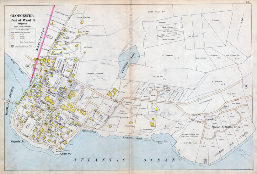 无人,横图,地图,城镇,历史,古董,马萨诸塞,格洛斯特,彩图,地图学