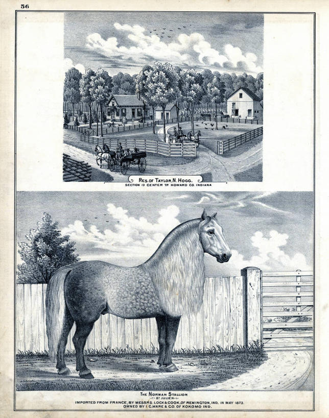 成年人,老年人,人群,农场,竖图,室外,美景,路,马,房屋,景观,历史,棚,自然,家畜,景色,古董,自然风光,农舍,老年男性,老年女性,男人,女人,彩图