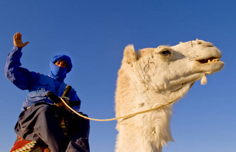 成年人,一个人,坐,横图,室外,白天,正面,仰视,日光,突尼斯,仅一个男性,头巾,头饰,挥手,骆驼,发饰,摄影,肖像,万里无云,撒哈拉沙漠,彩图,低角度拍摄,传统服装,传统文化,贝多因人