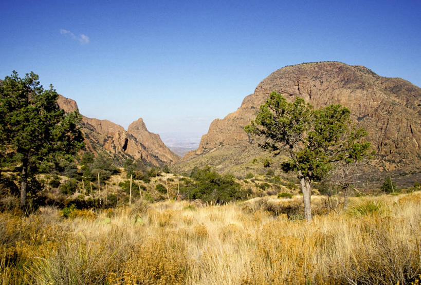 无人,公园,横图,室外,白天,旅游,度假,美景,山,美国,地平线,景观,辽阔,地面,娱乐,草,树,风景,自然,地标建筑,享受,休闲,广阔,景色,放松,摄影,宁静,一望无际,北美,北美洲,国家公园,自然风光,延伸,德克萨斯州,美洲,德克萨斯,万里无云,得州,德州,得克萨斯州,孤星之州,天地相交,北亚美利加洲,亚美利加洲,大弯国家公园,无边无际,一马平川,大本德国家公园,岩石,彩图,美利坚合众国