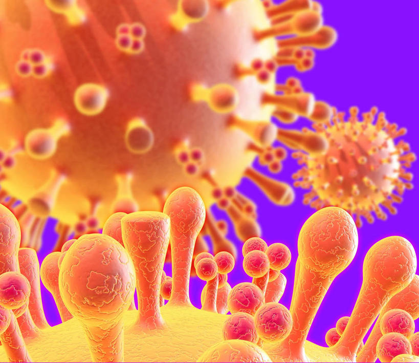 无人,横图,插画,室内,白天,正面,数码,科技,微生物,阴影,紫色背景,网络,医学,图形,高光,几何,计算机图形,合成,图画,画,球体,橙色,生物,电脑合成图,数码合成图,医疗,病毒,疾病,生物学,合成图,数学,漫画,流感,写实,具体,具象,传染病,寄生,甲型流感病毒,生命体,生物病毒,流感病毒,彩图,几何图形,立体几何,立体图形,甲型H1N1流感,急性呼吸道传染病,甲型H1N1