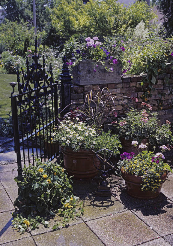 室外,白天,幸福,铁,砖,大门,院子,混凝土,砖墙,草,雏菊,花,绿色,夏天,休闲,天竺葵,粘土,铁艺,矮牵牛花,休闲活动