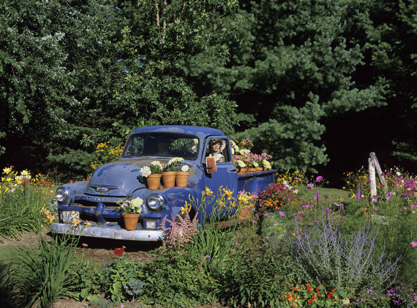 司机,室外,爱情,生锈,人造模特,野花,浪漫,花,树,粉色,黄色,红色,蓝色,绿色,紫色,白色,香草,夏天,薰衣草,橙色,古董,腐蚀,侵蚀,创造力,粘土,迷人,着色,呼吸,灵香草,黄香草,奇迹,腐化,锈迹斑斑,仕女图