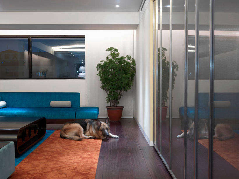 无人,家,横图,室内,夜晚,家具,沙发,建筑,狗,台湾,亚洲,光,现代,动物,建造,德国牧羊犬,起居室,建筑材料,台北,硬木,当代