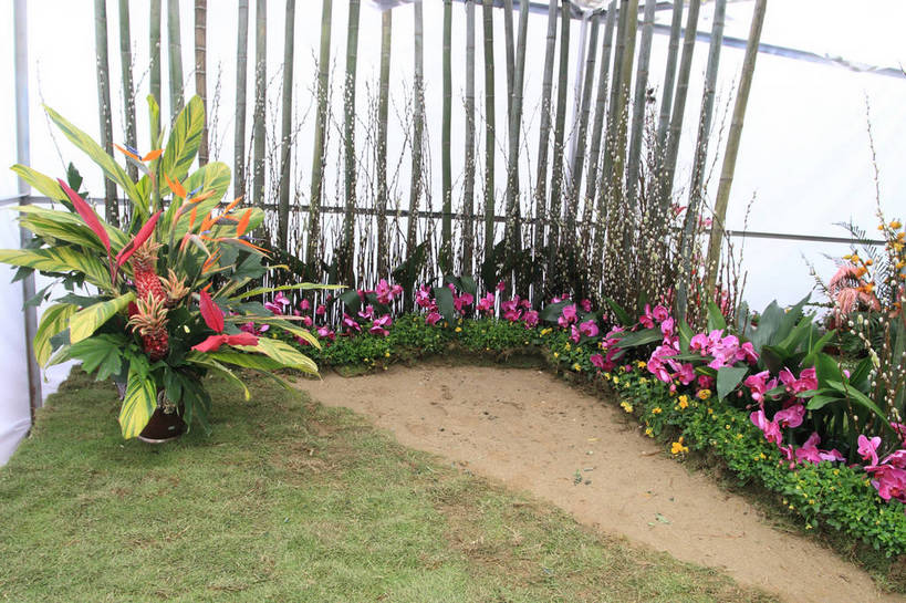 无人,花园,栏杆,横图,俯视,室内,白天,旅游,度假,幸福,纯洁,草地,草坪,花海,花圃,美景,植物,鹤望兰,蝴蝶兰,叶子,许多,盛开,景观,园艺,围栏,绿叶,美丽,花蕾,温室,娱乐,护栏,草,花,花瓣,花朵,花卉,鲜花,红色,绿色,风景,自然,花丛,花田,花苞,花蕊,享受,休闲,嫩叶,景色,放松,生长,成长,园林,风光,景物,高雅,大棚,清新,保温,初恋,蝶兰,兰中皇后,风物,光景,景致,极乐鸟花,天堂鸟,叶,叶片,小花园,彩图,高角度拍摄,bjzqp1