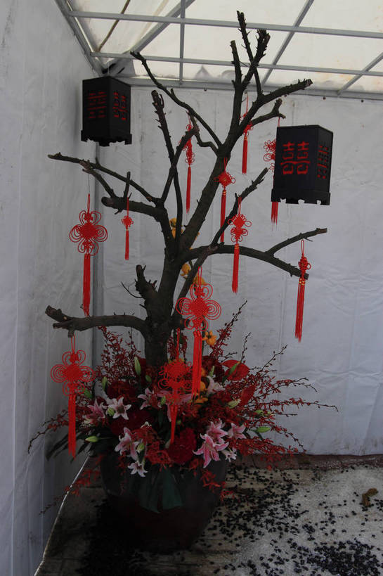 无人,花园,竖图,室内,白天,仰视,旅游,度假,智慧,热情,花海,花圃,美景,植物,百合花,叶子,一棵,许多,吊挂,悬挂,艺术,盛开,灯笼,盆栽,景观,园艺,火鹤花,绿叶,安祖花,枝条,盆景,挂,花蕾,温室,文化,娱乐,展品,架子,花,花瓣,花朵,花卉,鲜花,树,树干,树木,树枝,绿色,风景,自然,插花,中国结,花丛,花田,花苞,花蕊,享受,休闲,嫩叶,景色,放松,恋爱,生长,成长,园林,展览,风光,展厅,插花艺术,红掌,花烛,一串红,景物,创造,大棚,创作,保温,想象,强瞿,爆仗红,红鹤芋,猪尾花,烛台花,蜡烛花,大展宏图,热血,风物,光景,景致,炮仗红,百合蒜,倒仙,番韭,山丹,叶,叶片,小花园,彩图,低角度拍摄,bjzqp1