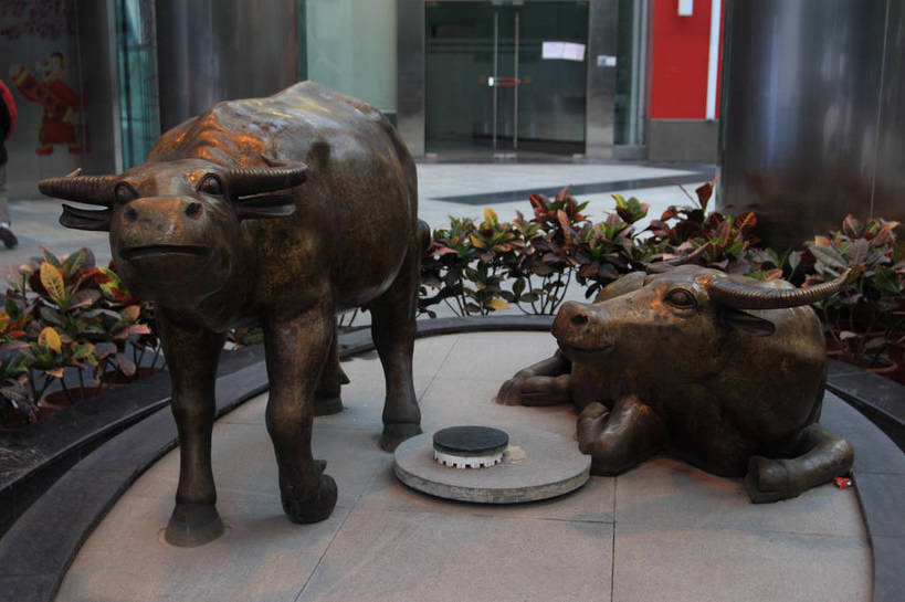 无人,站,蹲,横图,俯视,室内,白天,旅游,度假,草地,植物,窗户,落地窗,橱窗,牛,叶子,雕塑,艺术,装饰,雕刻,雕像,绿叶,娱乐,铜像,玻璃窗,草,绿色,动物,工艺品,站着,两只,享受,休闲,嫩叶,家畜,放松,牲畜,纪念,美术,主题,陈列,玻璃橱窗,功能,美学,叶,叶片,蹲着,站立,彩图,高角度拍摄,bjzqp1