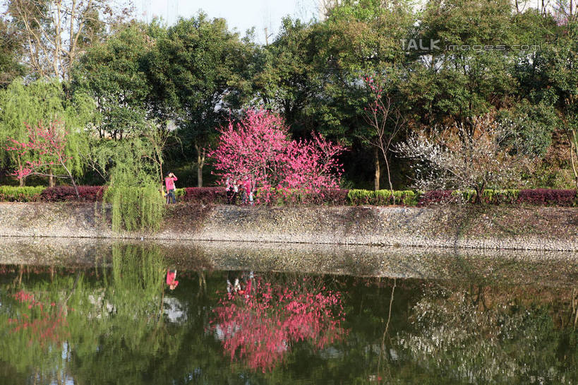 无人,家,横图,室外,白天,正面,旅游,度假,黄山,河流,名胜古迹,山,水,植物,标志建筑,地标,建筑,中国,亚洲,阴影,遗迹,盛开,光线,影子,房屋,墙,屋子,河水,山峰,水流,地面,山峦,花蕾,古迹,文化,文物,娱乐,建设,古建筑,楼房,民居,民宅,墙壁,墙面,住宅,花,花瓣,花朵,鲜花,树,树木,红色,蓝色,绿色,倒影,蓝天,天空,阳光,自然,天,花苞,花蕊,享受,休闲,旅游胜地,放松,生长,晴朗,成长,倒映,古文明,东亚,安徽,安徽省,黄山市,万里无云,中华人民共和国,华东地区,皖,反照,潜口,晴空,晴空万里,彩图,房子,传统文化,rzwdb1