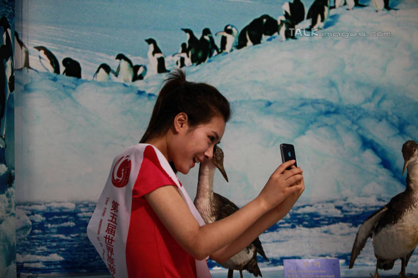 东方人,一个人,站,笑,打电话,微笑,露齿笑,横图,室内,白天,正面,度假,冰山,美景,山,城市风光,城市,企鹅,野生动物,电话,手机,中国,亚洲,仅一个年轻女性,仅一个女性,仅一个人,许多,服装,墙,冰,景观,山峰,山峦,注视,休闲装,黄种人,娱乐,通讯设备,山东,冰川,墙壁,墙画,墙面,拍照,衣服,红色,动物,模型,低头,观察,看,站着,享受,休闲,休闲服,景色,放松,寒冷,可爱,摄影,服饰,活泼,观看,察看,冰冷,领导,象征,关注,荣誉,冰河,代表,东亚,绶带,山东省,日照,中华人民共和国,华东地区,地位,严寒,鲁,冰凉,酷寒,凛冽,凛凛,极冷,日照市,刘家湾赶海园,交流,年轻女性,女人,女性,亚洲人,沟通,通话,站立,半身,彩图,照相,rzwdb1