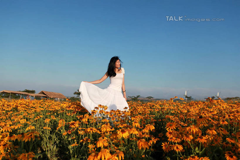 东方人,一个人,站,笑,微笑,露齿笑,横图,室外,白天,正面,裙子,旅游,度假,草地,草坪,花海,花圃,美景,植物,叶子,中国,亚洲,仅一个年轻女性,仅一个女性,仅一个人,许多,握,阴影,连衣裙,装饰,盛开,光线,影子,景观,绿叶,拿,花蕾,拿着,注视,黄种人,娱乐,山东,草,花,花瓣,花朵,花卉,鲜花,黄色,红色,蓝色,绿色,紫色,白色,蓝天,天空,阳光,自然,饰品,手链,花丛,花田,天,花苞,花蕊,低头,观察,看,站着,享受,休闲,嫩叶,菊花,景色,放松,握着,生长,晴朗,成长,观看,华丽,修饰,点缀,察看,关注,自然风光,东亚,山东省,日照,金光菊,万里无云,中华人民共和国,华东地区,衬托,美观,雅致,雅观,鲁,日照市,臭菊,黑眼菊,花仙子风景区,年轻女性,女人,女性,亚洲人,叶,叶片,晴空,晴空万里,站立,彩图,全身,rzwdb1