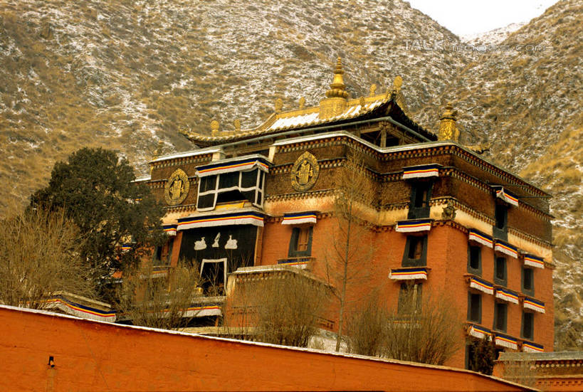 无人,寺庙,竖图,室外,白天,仰视,旅游,度假,石头,名胜古迹,山,山脉,植物,标志建筑,地标,建筑,中国,亚洲,节日,遗迹,石子,山峰,山峦,燃烧,古迹,文化,文物,娱乐,建设,古建筑,树,树木,绿色,自然,香火,庙宇,群山,祈祷,享受,休闲,健康,旅游胜地,放松,许愿,宗教,信仰,生长,成长,纪念,祈求,古文明,东亚,甘肃,甘肃省,夏河县,拉卜楞寺,中华人民共和国,西北地区,甘,夏河,平安,石块,岩石,彩图,低角度拍摄,庙,寺,shcm1