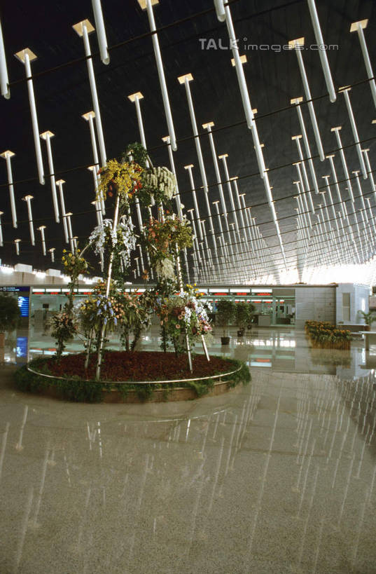 无人,机场,竖图,室内,白天,正面,度假,美景,植物,城市风光,城市,飞机场,照明,上海,中国,亚洲,阴影,光线,瓷砖,地砖,盆栽,影子,景观,灯光,盆景,地面,娱乐,浦东,顶灯,灯,绿色,自然,灯具,享受,休闲,景色,放松,生长,成长,照亮,申,照明设备,浦东新区,东亚,上海市,中华人民共和国,沪,华东地区,航空站,空港,彩图,上海浦东国际机场,shcm1