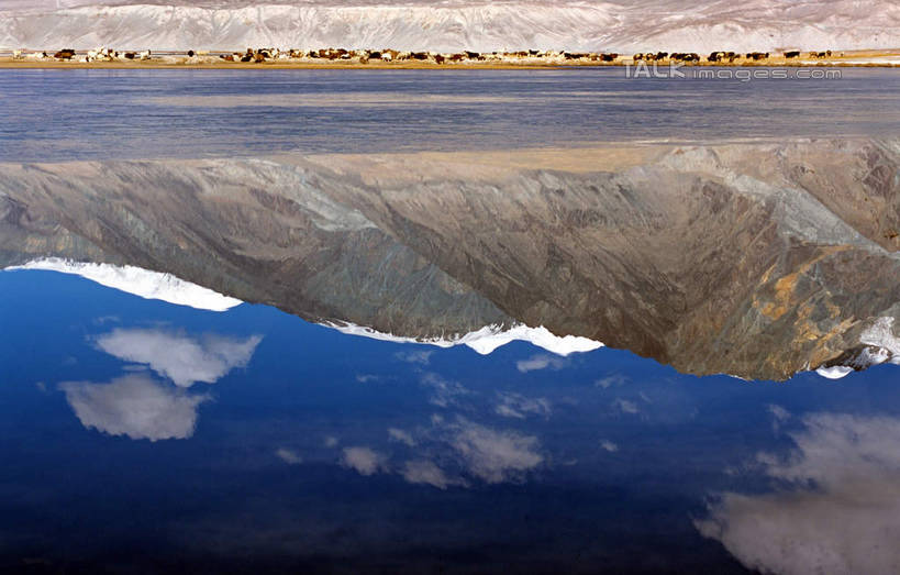 无人,横图,室外,白天,正面,旅游,度假,湖,湖泊,石头,美景,山,山脉,水,中国,亚洲,阴影,波纹,光线,石子,影子,湖面,景观,山峰,水流,水面,云,云朵,涟漪,山峦,云彩,娱乐,蓝色,白云,倒影,蓝天,水纹,天空,阳光,自然,波浪,湖水,群山,天,享受,休闲,景色,放松,晴朗,倒映,自然风光,东亚,新疆,白沙湖,阿勒泰地区,伊犁,中华人民共和国,水晕,新疆维吾尔自治区,西北地区,伊犁哈萨克自治州,反照,石块,岩石,晴空,彩图,哈巴河,哈巴河县,新,shcm1