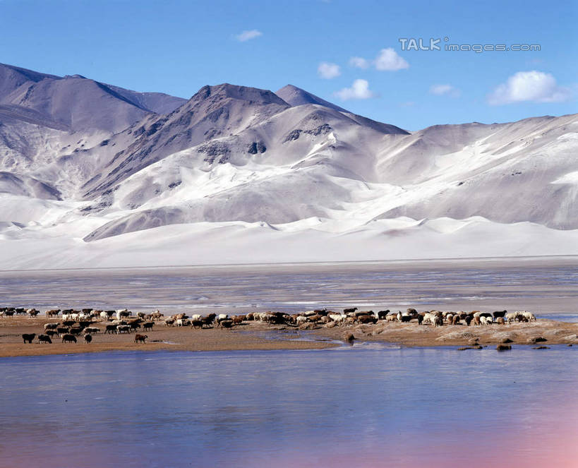 无人,横图,室外,白天,正面,旅游,度假,湖,湖泊,石头,美景,山,山脉,水,中国,亚洲,阴影,波纹,光线,石子,影子,湖面,景观,山峰,水流,水面,云,云朵,涟漪,山峦,云彩,娱乐,蓝色,白云,倒影,蓝天,水纹,天空,阳光,自然,波浪,湖水,群山,天,享受,休闲,景色,放松,晴朗,倒映,自然风光,东亚,新疆,白沙湖,阿勒泰地区,伊犁,中华人民共和国,水晕,新疆维吾尔自治区,西北地区,伊犁哈萨克自治州,反照,石块,岩石,晴空,彩图,哈巴河,哈巴河县,新,shcm1