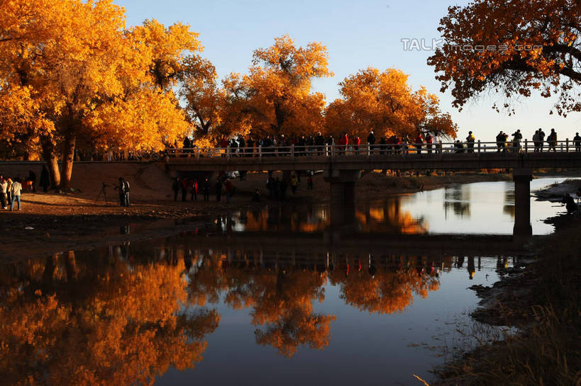 西方人,站,横图,室外,白天,正面,旅游,度假,草地,草坪,湖,湖泊,石头,美景,秋季,沙滩,树林,水,植物,欧洲,欧洲人,行人,游客,游人,阴影,服装,光线,沙子,石子,影子,河岸,河滩,湖面,景观,水流,水面,桥,沙地,许多人,注视,休闲装,娱乐,石桥,路人,旅客,拱桥,栈桥,草,树,树木,衣服,蓝色,绿色,倒影,蓝天,天空,阳光,自然,湖水,天,观察,看,站着,一群人,享受,休闲,休闲服,景色,放松,服饰,拱形,生长,晴朗,成长,观看,人行桥,石拱桥,察看,倒映,关注,自然风光,万里无云,反照,过客,男人,男性,年轻男性,年轻女性,女人,女性,白种人,石块,晴空,晴空万里,秋,秋天,站立,半身,彩图,shgzq1