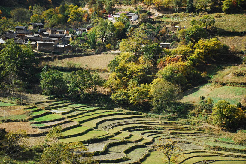 无人,家,农田,横图,俯视,室外,白天,旅游,度假,庄稼,梯田,农作物,美景,森林,树林,植物,中国,亚洲,阴影,曲折,弯曲,光线,影子,房屋,屋子,景观,娱乐,楼房,迪庆,云南,住宅,树,树木,绿色,阳光,自然,享受,休闲,景色,放松,蜿蜒,生长,成长,自然风光,东亚,迪庆藏族自治州,云南省,中华人民共和国,西南地区,滇,迪庆州,彩图,高角度拍摄,耕地,庄稼田,房子,shqxy1