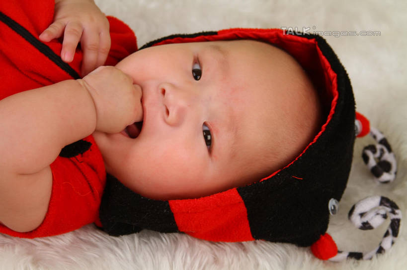 东方人,婴儿,儿童,脸,头,脸颊,手,一个人,躺,横图,俯视,室内,特写,白天,背景,纯洁,地毯,瓢虫,帽子,亚洲,仅一个人,咬,服装,装饰,编织,手工艺品,织物,注视,黄种人,小孩,衣服,红色,工艺品,观察,看,手部,可爱,摄影,服饰,活泼,影棚,观看,单手,华丽,修饰,点缀,咬着,察看,衣着,穿着,关注,宝宝,表演服,演出服,纯真,烂漫,无邪,衬托,美观,雅致,雅观,衣饰,道具服,卧着,伶俐,天真,亚洲人,孩子,头部,脸部,脸蛋,面部,躺着,卧,半身,布景,彩图,高角度拍摄,影棚拍摄,拍摄,shsc1