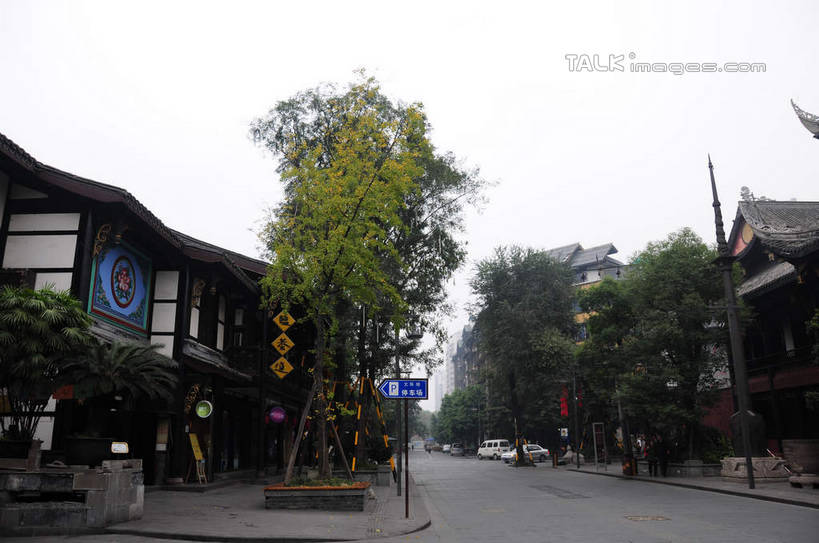 无人,横图,室外,白天,正面,旅游,度假,名胜古迹,植物,标志建筑,道路,地标,建筑,街道,路,指示牌,公路,汽车,中国,亚洲,许多,遗迹,英文,标志,盆栽,文字,房屋,屋子,建筑群,盆景,地面,交通,面包车,古迹,文化,文物,娱乐,标识,建设,传统,古建筑,招牌,民居,车,树,树木,绿色,天空,自然,交通工具,轿车,天,行驶,享受,休闲,汉字,旅游胜地,放松,四川省,生长,成长,英文字母,中文,古朴,古文明,东亚,四川,成都,成都市,中华人民共和国,省会,西南地区,民族文化,川,文殊坊,马路,彩图,房子,shsgf1