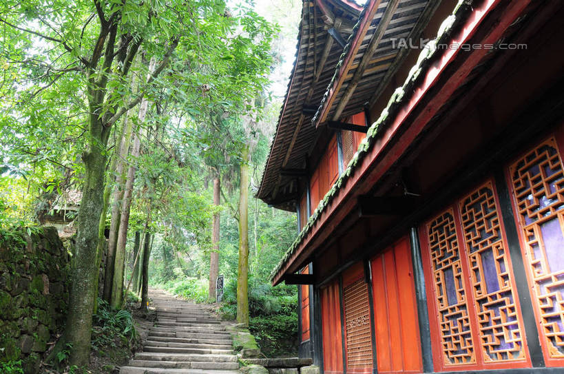 无人,横图,室外,白天,仰视,旅游,度假,草地,草坪,美景,山,树林,植物,都江堰,青城山,中国,亚洲,房屋,阶梯,屋子,景观,山峰,山峦,古典,娱乐,台阶,草,树,树木,绿色,天空,自然,天,享受,休闲,石阶,景色,放松,四川省,生长,成长,自然风光,古朴,东亚,四川,中华人民共和国,西南地区,川,都江堰风景区,都江堰市,彩图,低角度拍摄,房子,shsgf1