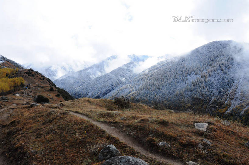 无人,横图,室外,白天,正面,旅游,度假,草地,草坪,石头,美景,山,树林,雪,雪山,植物,雾,大雪,中国,亚洲,许多,枯萎,朦胧,模糊,散落,石子,积雪,景观,山峰,山坡,雪景,冬天,枯草,山峦,娱乐,草,树,树木,蓝色,绿色,蓝天,天空,自然,天,享受,休闲,景色,放松,四川省,生长,成长,迷雾,自然风光,东亚,四川,阿坝,中华人民共和国,西南地区,阿坝藏族羌族自治州,阿坝州,川,海子沟,四姑娘山,石块,岩石,大雾,彩图,shsgf1