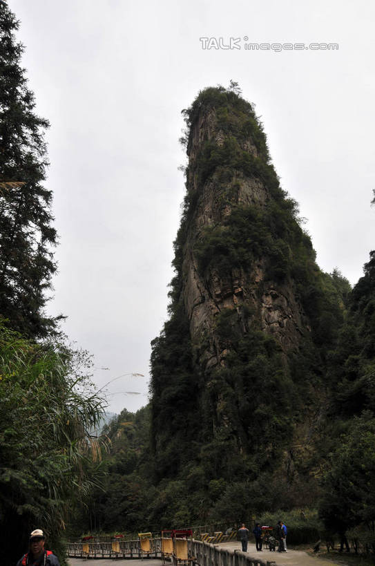 东方人,四个人,栏杆,站,竖图,室外,白天,仰视,旅游,度假,美景,山,植物,道路,路,张家界,中国,亚洲,行人,游客,游人,景观,山峰,围栏,小路,交通,山峦,黄种人,娱乐,护栏,路人,旅客,树,树木,绿色,天空,自然,天,站着,享受,休闲,景色,放松,生长,成长,自然风光,东亚,湖南,湖南省,中华人民共和国,华中地区,湘,张家界市,过客,武陵源区,宝峰湖,男人,男性,女人,女性,中年男性,中年女性,亚洲人,站立,半身,彩图,低角度拍摄,shsgf1