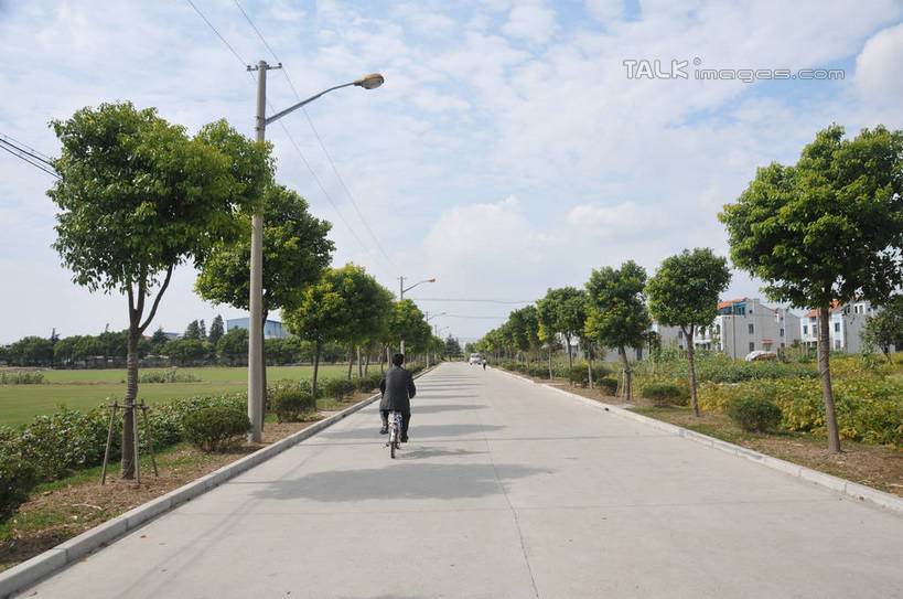 东方人,一个人,横图,室外,白天,旅游,度假,美景,道路,路,路灯,公路,自行车,照明,上海,中国,亚洲,仅一个男性,仅一个人,仅一个中年男性,一辆,阴影,服装,光线,影子,景观,云,云朵,灯光,交通,云彩,休闲装,黄种人,娱乐,车,脚踏车,灯,骑,背面,衣服,蓝色,白云,蓝天,天空,阳光,自然,交通工具,天,骑车,享受,休闲,休闲服,景色,放松,服饰,奉贤区,晴朗,照亮,申,照明设备,自然风光,载具,东亚,上海市,中华人民共和国,沪,华东地区,燎原农场,男人,男性,中年男性,亚洲人,晴空,马路,彩图,全身,shsgf1
