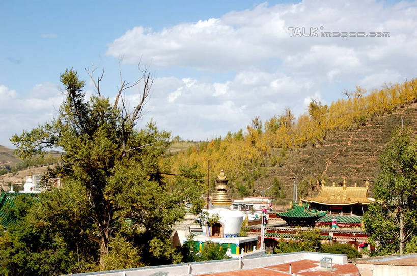 无人,寺庙,横图,室外,白天,正面,旅游,度假,名胜古迹,山,山脉,植物,标志建筑,地标,建筑,中国,亚洲,阴影,节日,遗迹,光线,影子,山峰,云,云朵,山峦,云彩,古迹,文化,文物,娱乐,建设,古建筑,树,树木,蓝色,绿色,白云,蓝天,天空,阳光,自然,庙宇,群山,天,祈祷,享受,休闲,健康,旅游胜地,放松,许愿,宗教,佛教,信仰,生长,晴朗,成长,纪念,祈求,古文明,东亚,青海,青海省,塔尔寺,鲁沙尔镇,西宁,中华人民共和国,省会,西北地区,西宁市,青,释教,县城,湟中,湟中县,平安,晴空,彩图,庙,寺,shsgf1