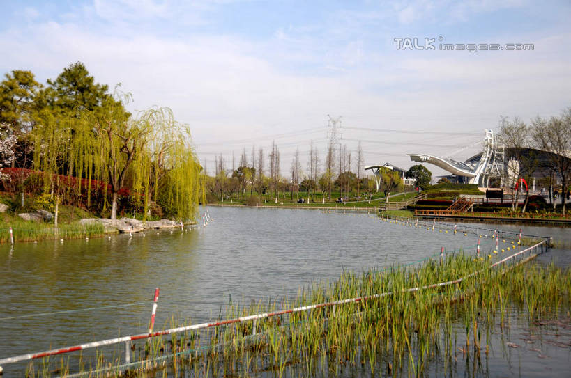 无人,公园,横图,室外,白天,正面,旅游,度假,湖,湖泊,美景,水,植物,柳树,上海,中国,亚洲,阴影,波纹,光线,影子,湖面,景观,水流,水面,云,云朵,涟漪,云彩,娱乐,垂柳,树,树木,蓝色,绿色,白云,蓝天,水纹,天空,阳光,自然,波浪,湖水,天,享受,休闲,景色,放松,生长,晴朗,成长,申,自然风光,东亚,闵行区,上海市,闵行体育公园,中华人民共和国,沪,华东地区,水晕,倒挂柳,晴空,垂枝柳,彩图,shsgf1