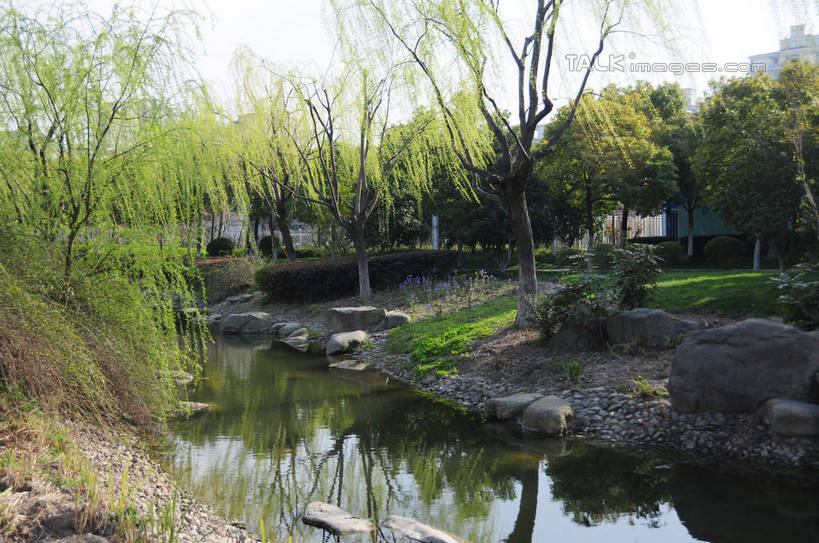 无人,公园,横图,室外,白天,正面,旅游,度假,草地,草坪,湖,湖泊,美景,水,植物,柳树,上海,中国,亚洲,阴影,波纹,光线,影子,湖面,景观,水流,水面,涟漪,娱乐,垂柳,草,树,树木,蓝色,绿色,倒影,蓝天,水纹,天空,阳光,自然,波浪,湖水,天,享受,休闲,景色,放松,生长,晴朗,成长,申,倒映,自然风光,东亚,闵行区,上海市,闵行体育公园,万里无云,中华人民共和国,沪,华东地区,水晕,倒挂柳,反照,晴空,晴空万里,垂枝柳,彩图,shsgf1