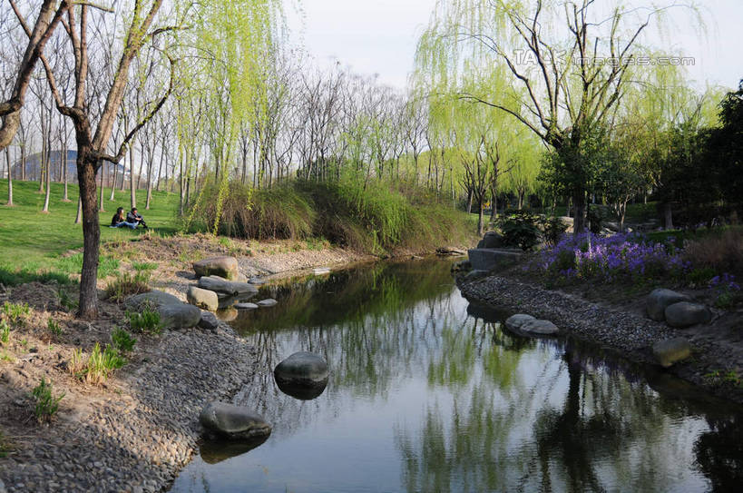 无人,公园,横图,室外,白天,正面,旅游,度假,草地,草坪,湖,湖泊,美景,水,植物,柳树,上海,中国,亚洲,阴影,波纹,光线,影子,湖面,景观,水流,水面,涟漪,娱乐,垂柳,草,树,树木,蓝色,绿色,倒影,蓝天,水纹,天空,阳光,自然,波浪,湖水,天,享受,休闲,景色,放松,生长,晴朗,成长,申,倒映,自然风光,东亚,闵行区,上海市,闵行体育公园,万里无云,中华人民共和国,沪,华东地区,水晕,倒挂柳,反照,晴空,晴空万里,垂枝柳,彩图,shsgf1