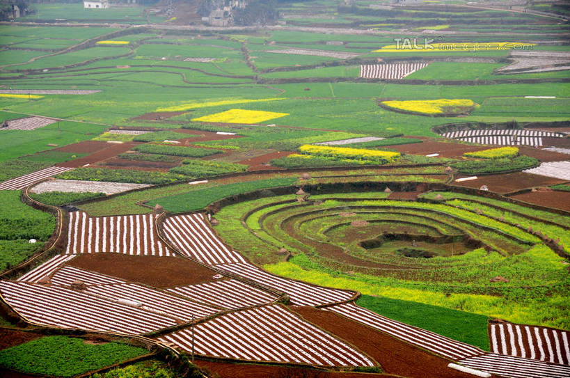 无人,农田,横图,俯视,航拍,室外,白天,旅游,度假,庄稼,农作物,草地,草坪,美景,山,山脉,植物,雾,中国,亚洲,朦胧,模糊,景观,山峰,山峦,娱乐,草,树,树木,绿色,自然,群山,享受,休闲,景色,放松,生长,成长,迷雾,鸟瞰,自然风光,东亚,贵州,贵州省,万峰林,兴义市,马岭河峡谷,中华人民共和国,黔,西南地区,黔西南,黔西南州,黔西南布依族苗族自治州,大雾,彩图,高角度拍摄,耕地,庄稼田,马岭河大峡谷,兴义,shsgf1