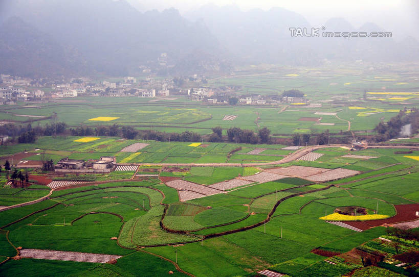 无人,家,农田,横图,俯视,航拍,室外,白天,旅游,度假,庄稼,农作物,草地,草坪,美景,山,山脉,植物,雾,中国,亚洲,朦胧,模糊,房屋,屋子,景观,山峰,山峦,娱乐,楼房,住宅,草,树,树木,绿色,自然,群山,享受,休闲,景色,放松,生长,成长,迷雾,鸟瞰,自然风光,东亚,贵州,贵州省,万峰林,兴义市,马岭河峡谷,中华人民共和国,黔,西南地区,黔西南,黔西南州,黔西南布依族苗族自治州,大雾,彩图,高角度拍摄,耕地,庄稼田,房子,马岭河大峡谷,兴义,shsgf1