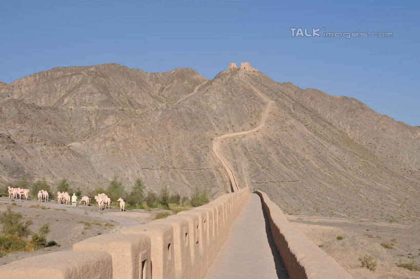 无人,横图,室外,白天,正面,旅游,度假,石头,名胜古迹,山,山脉,植物,标志建筑,地标,建筑,中国,亚洲,阴影,遗迹,光线,石子,影子,墙,山峰,山峦,古迹,文物,娱乐,建设,古建筑,墙壁,墙面,树,树木,蓝色,绿色,蓝天,天空,阳光,自然,群山,天,享受,休闲,旅游胜地,放松,生长,晴朗,成长,古文明,东亚,甘肃,甘肃省,嘉峪关,万里无云,中华人民共和国,西北地区,甘,嘉峪关市,悬臂长城,石块,岩石,晴空,晴空万里,彩图,shsgf1