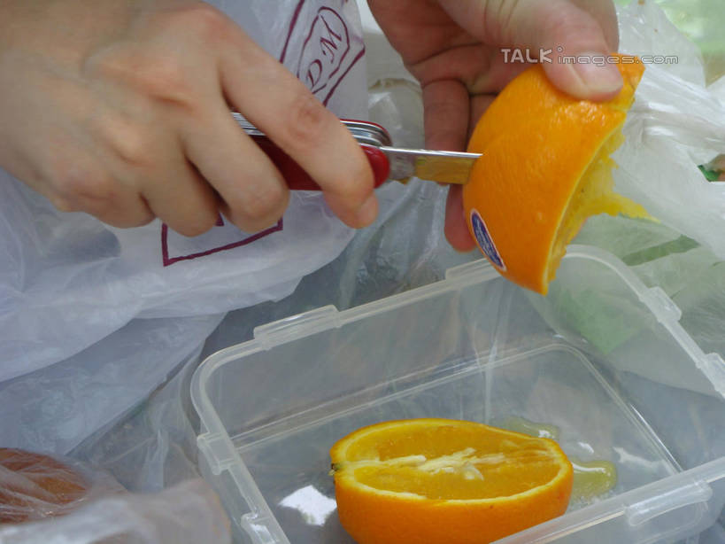 东方人,手,一个人,横图,俯视,室外,特写,白天,袋子,水果,金属制品,亚洲,双手,仅一个年轻女性,仅一个女性,仅一个人,一把,切开,握,阴影,新鲜,光线,金属,标志,工具,文字,影子,字符,塑料,生食,食品,果实,刀具,黄种人,标识,盒子,食物,阳光,容器,塑料制品,刀,切,手部,汉字,握着,有机食品,绿色食品,水果刀,储藏,甜橙,储存,中文,剖面,塑封,切面,国文,华文,年轻女性,女人,女性,亚洲人,橙子,橙,半身,彩图,高角度拍摄,鹄壳,黄橙,黄果,金橙,金环,金球,糖橙,贮存,密封袋,塑封袋,shslj1