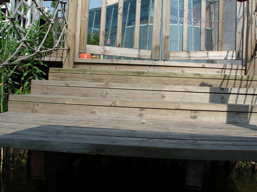 无人,公园,横图,室外,白天,正面,旅游,度假,美景,窗户,楼梯,落地窗,门,上海,中国,亚洲,阴影,光线,影子,阶梯,景观,娱乐,玻璃窗,台阶,阳光,自然,门框,享受,休闲,景色,放松,大宁灵石公园,申,自然风光,东亚,上海市,中华人民共和国,沪,华东地区,闸北区,彩图,广中西路,shslj1