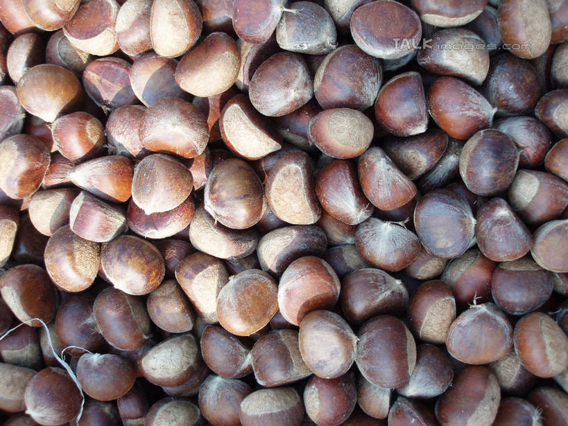 无人,横图,俯视,室外,特写,白天,一堆,许多,阴影,堆叠,堆积,光线,影子,板栗,栗子,坚果,毛栗子,很多,阳光,堆,毛栗,栗果,栗楔,彩图,高角度拍摄,shslj1